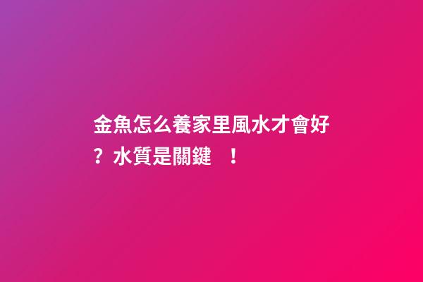 金魚怎么養家里風水才會好？水質是關鍵！